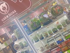 -CAKE BOSS 蛋糕老板(北京世纪金源购物中心)
