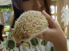 -藦茜花园宠物主题亲子互动体验馆(国顺东路店)