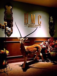 -HMC美容按摩SPA馆