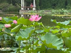 -国家植物园南园