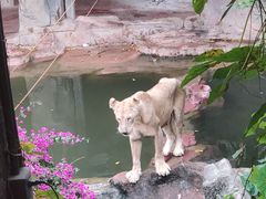 -长鹿旅游休博园