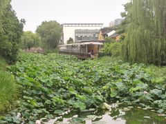 -石湖景区