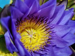 -昆明国际花卉拍卖交易中心