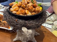 -丁老爷子苏香圆