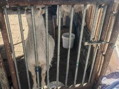 -天毓山庄·餐厅