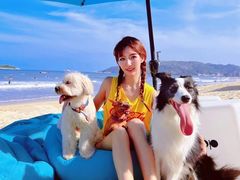 -西涌国际滨海旅游区