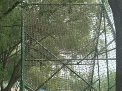 -东方巨龟苑景区