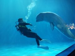 -多彩贵州城极地海洋世界