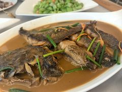 -华盛丰温州大排档(东三环南路店)