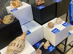 -新荟城(望京店)