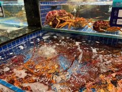 -东海怡品海鲜豆捞(星街坊店)
