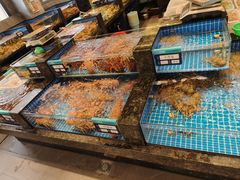 -东海怡品海鲜豆捞(舟宿夜江店)