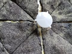 -咕鹿流心披萨(秀洲店)