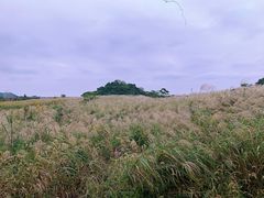 -下渚湖国家湿地公园科普馆