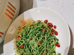 -青花椒花椒鱼(合生汇店)