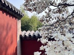 -泰山风景名胜区-普照寺