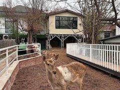 -丽泽山庄·生态怀柔菜·虹鳟鱼(红螺寺店)