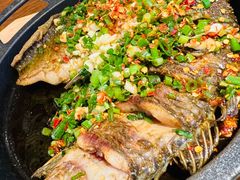铁板鲫鱼-聚鑫朋酸菜肥肠(九龙仓店)