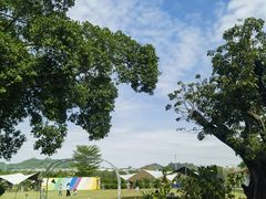 -长洲岛都市农业公园