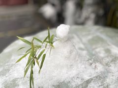 -福慧慈缘素食餐厅(王府井店)