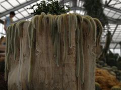 -南通洲际绿博园