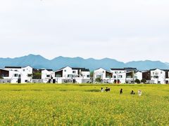 -东梓关景区村庄