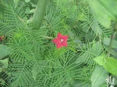 -仙山谷激浪漂流