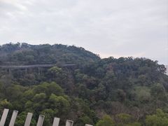 -福道