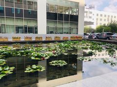 -中国医科大学附属盛京医院(南湖院区)