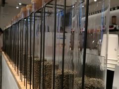 -喜茶(佛山岭南站店)