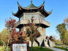 -盐城丹顶鹤湿地生态旅游区