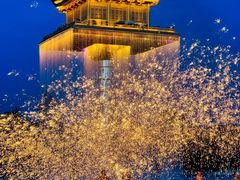-婺源风景区