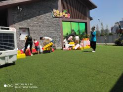 -恐龙探索乐园(磁器口店)