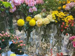 -花未央花店·WEYOUNG