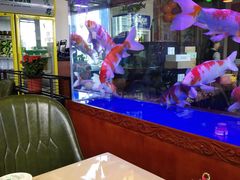 大堂-浑河村面馆