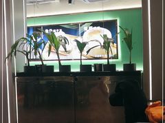 -探窝·竹笙椰子鸡(杨箕店)