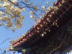 -红螺寺