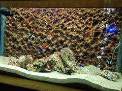 -北戴河圣蓝海洋公园