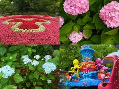 -上海共青森林公园