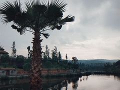 -枫香湖儿童公园