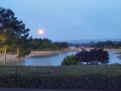 -千岛湖安岚·湖景全日餐厅