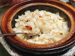 啫啫五年鲜百合-煲煲好(朝阳门店)