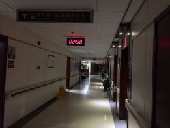 -复旦大学附属妇产科医院(杨浦院区)