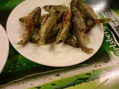 -布尔津河堤夜市