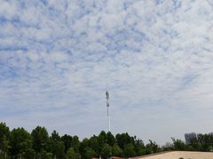 -盘龙城国家考古遗址公园