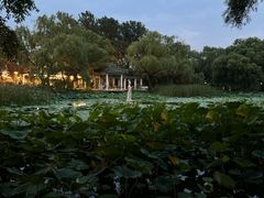 -北陵公园