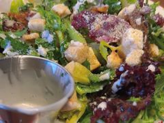 -Tubestation站点比萨(五道营店)