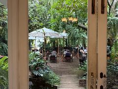 -Fern Forest Cafe