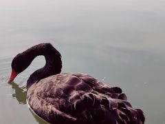 -江南大学(蠡湖校区)