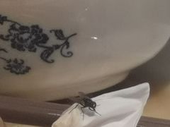 -淇乐多品味馆(江南大道店)